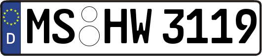 MS-HW3119