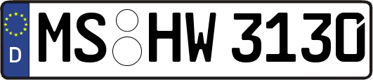 MS-HW3130