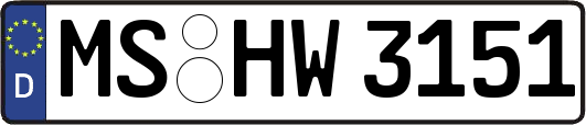MS-HW3151