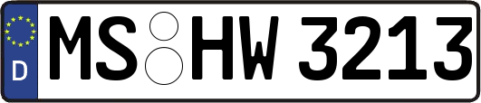 MS-HW3213