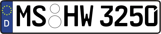 MS-HW3250