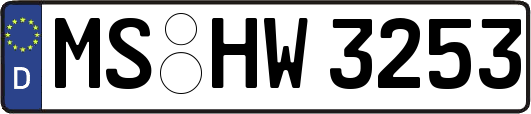 MS-HW3253
