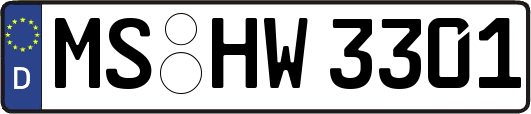 MS-HW3301