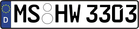 MS-HW3303