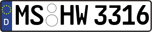 MS-HW3316