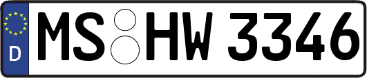 MS-HW3346