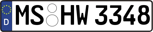 MS-HW3348