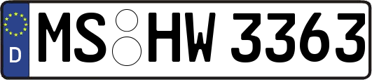 MS-HW3363