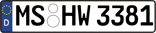 MS-HW3381