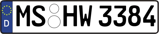 MS-HW3384