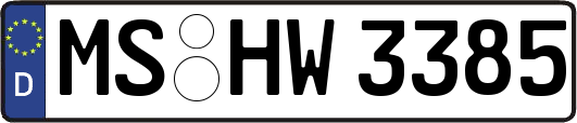 MS-HW3385