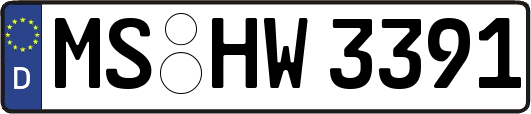 MS-HW3391