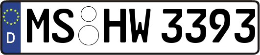 MS-HW3393