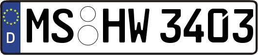 MS-HW3403