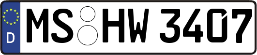 MS-HW3407