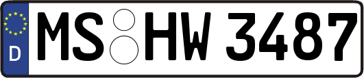 MS-HW3487