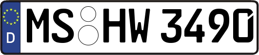 MS-HW3490