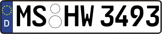 MS-HW3493
