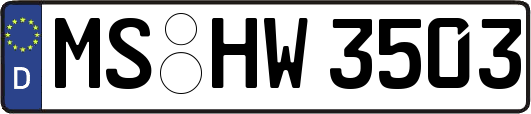 MS-HW3503