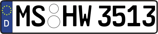 MS-HW3513
