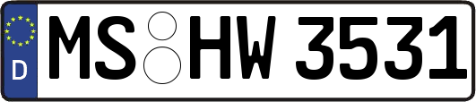 MS-HW3531