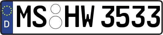 MS-HW3533