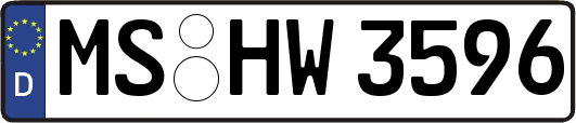 MS-HW3596