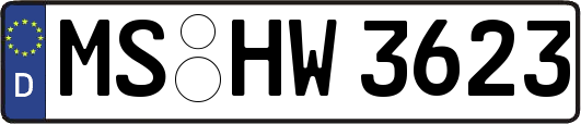 MS-HW3623