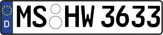 MS-HW3633