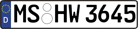 MS-HW3645
