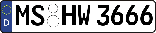 MS-HW3666