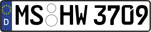 MS-HW3709