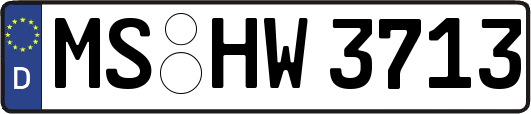 MS-HW3713
