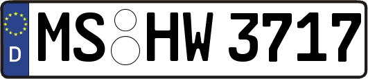 MS-HW3717