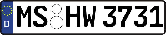 MS-HW3731