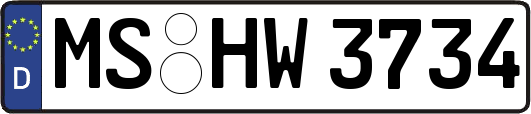MS-HW3734