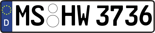 MS-HW3736