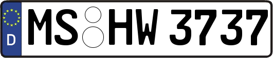 MS-HW3737