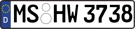 MS-HW3738