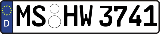 MS-HW3741