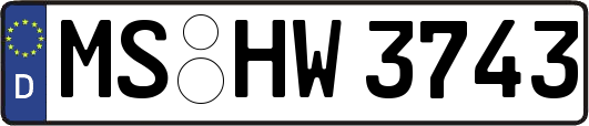 MS-HW3743
