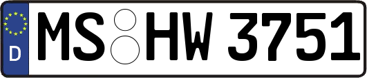 MS-HW3751