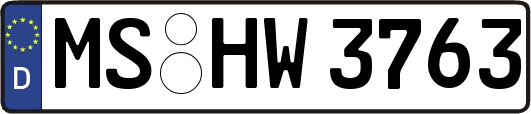 MS-HW3763