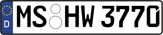 MS-HW3770