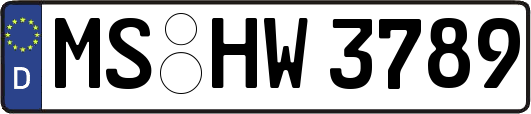 MS-HW3789