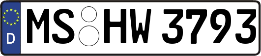 MS-HW3793