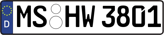 MS-HW3801