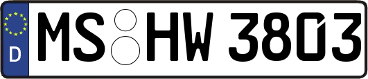 MS-HW3803
