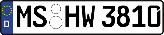 MS-HW3810