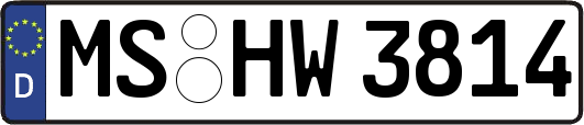 MS-HW3814